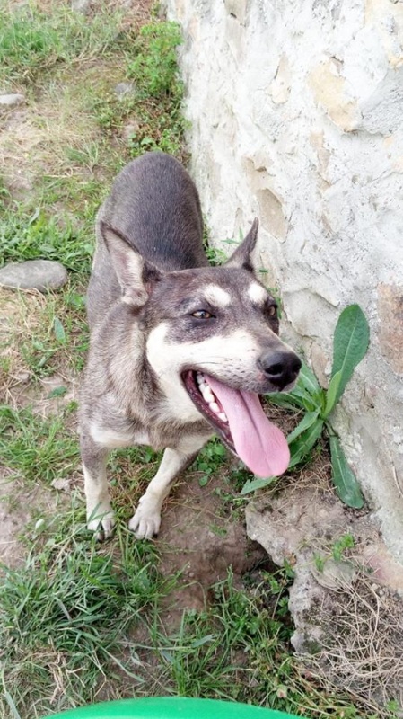 Foto Arhi