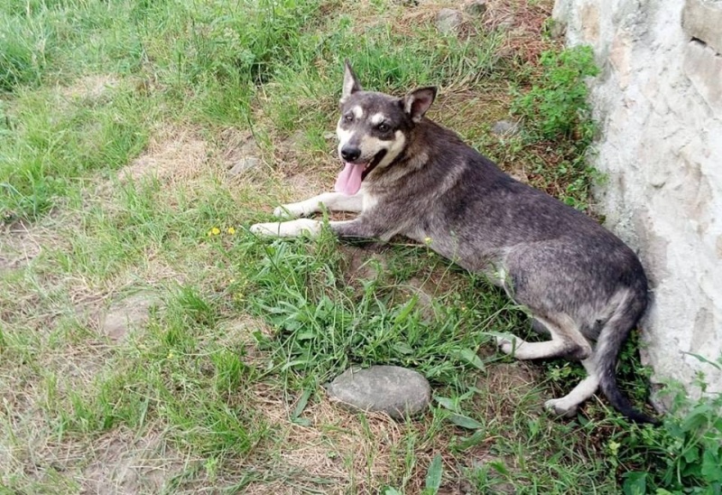 Foto Arhi