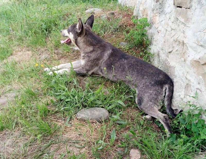 Foto Arhi