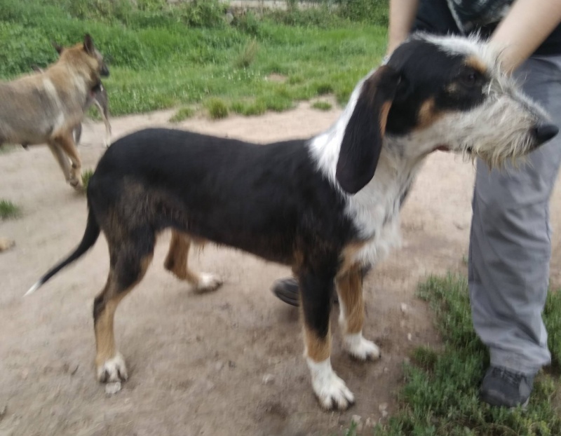 Foto Keko