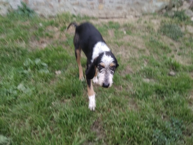 Foto Keko