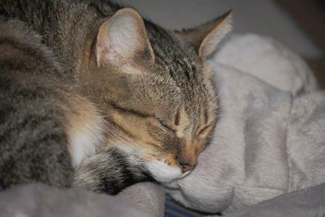 Foto Nina