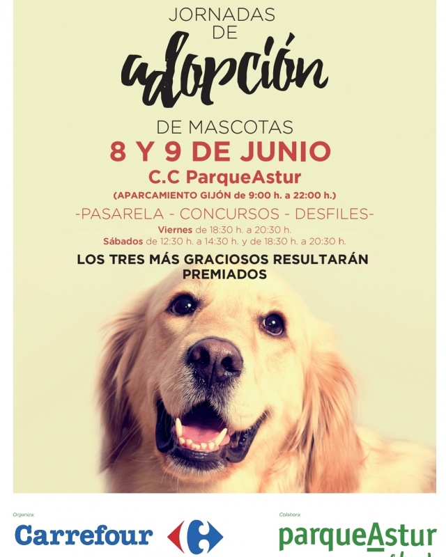 Foto CARREMASCOTA
