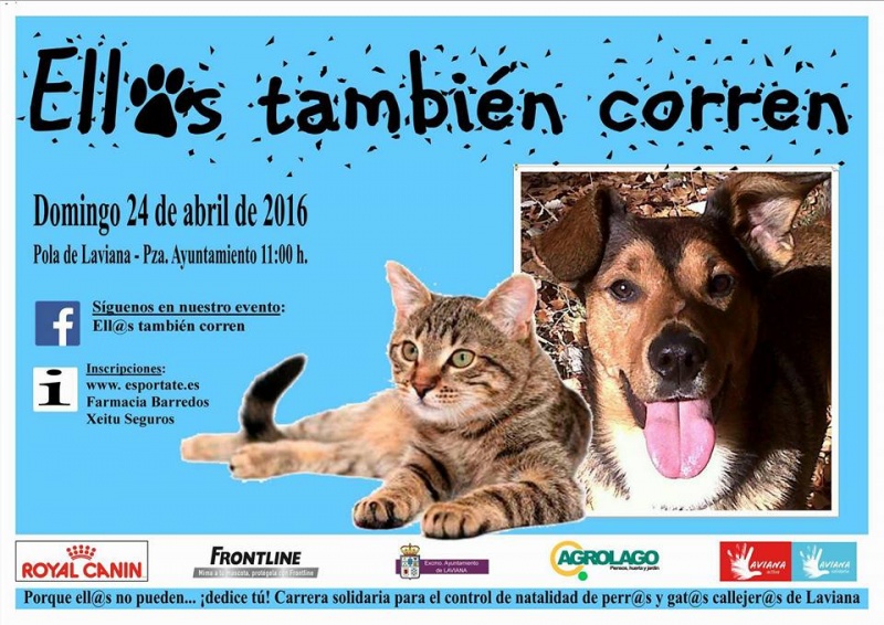 Foto Carrera con perro (Laviana)