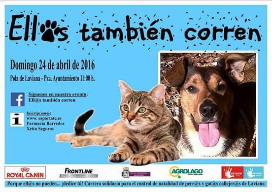 Foto Carrera con perros a favor de los animales de Pola de Laviana