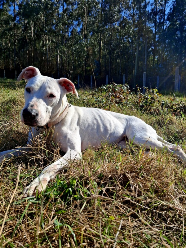 Foto Agatha