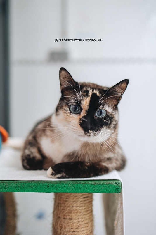 Foto Lili