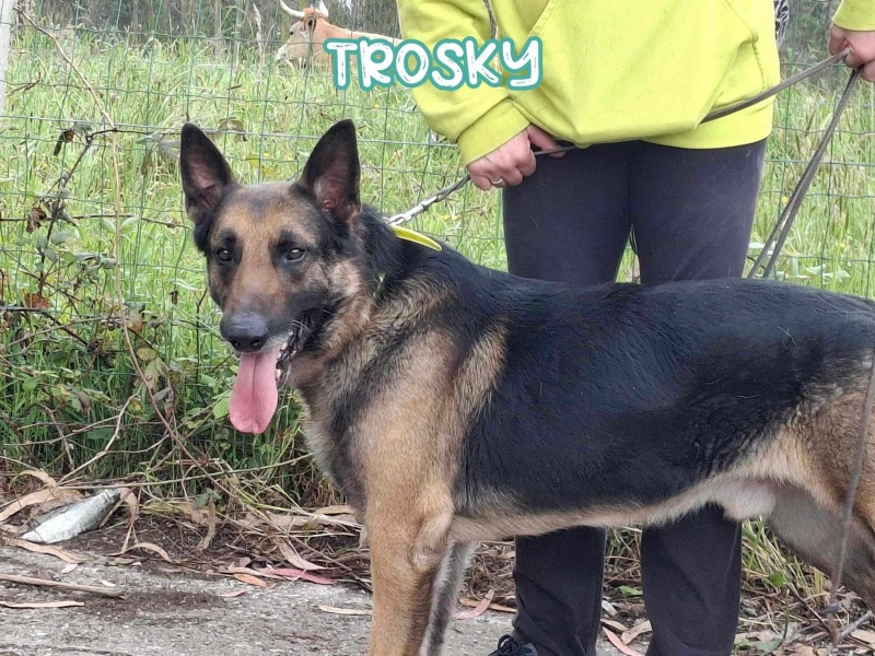 Foto Trosky