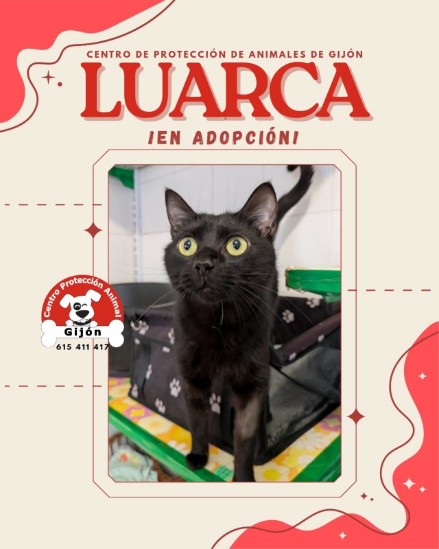 Foto Luarca
