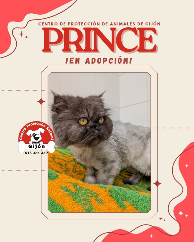 Foto Prince