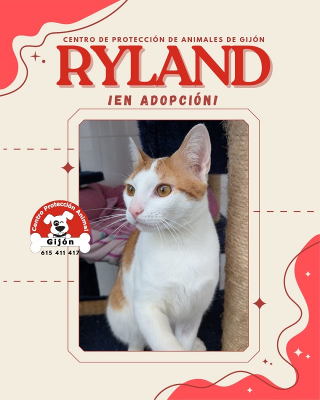 Foto Ryland