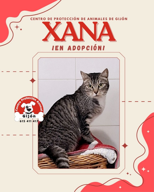 Foto Xana