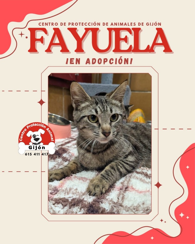 Foto Fayuela