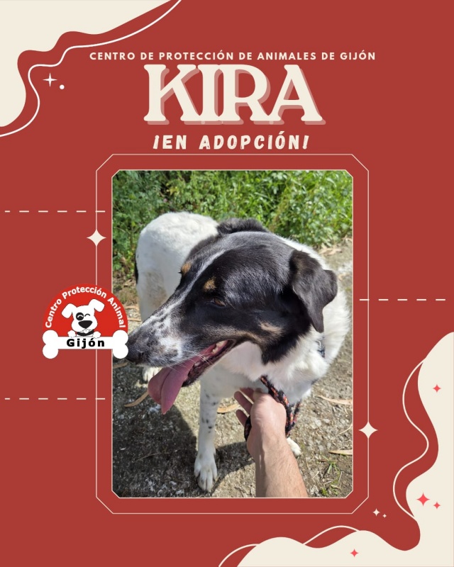 Foto Kira