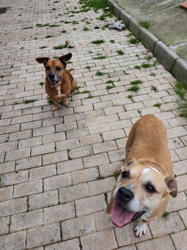 Foto Marco