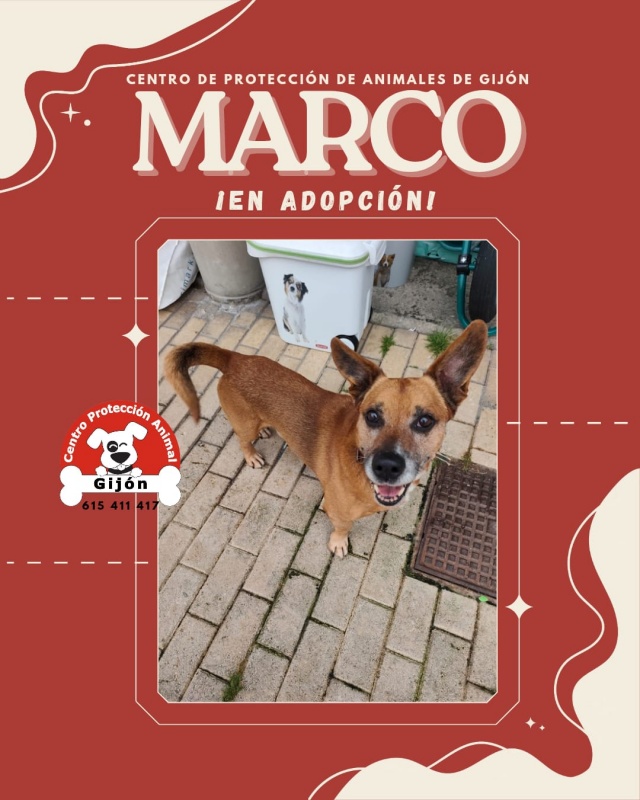 Foto Marco