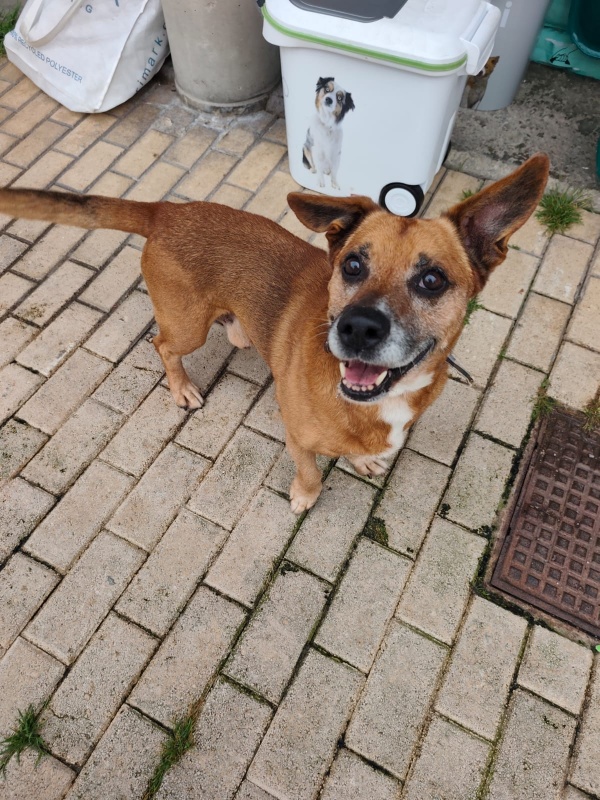 Foto Marco