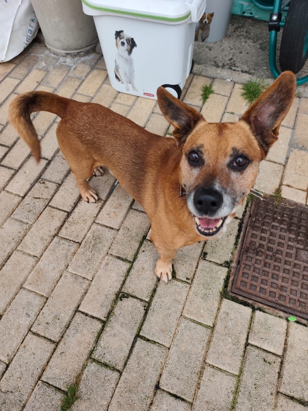 Foto Marco