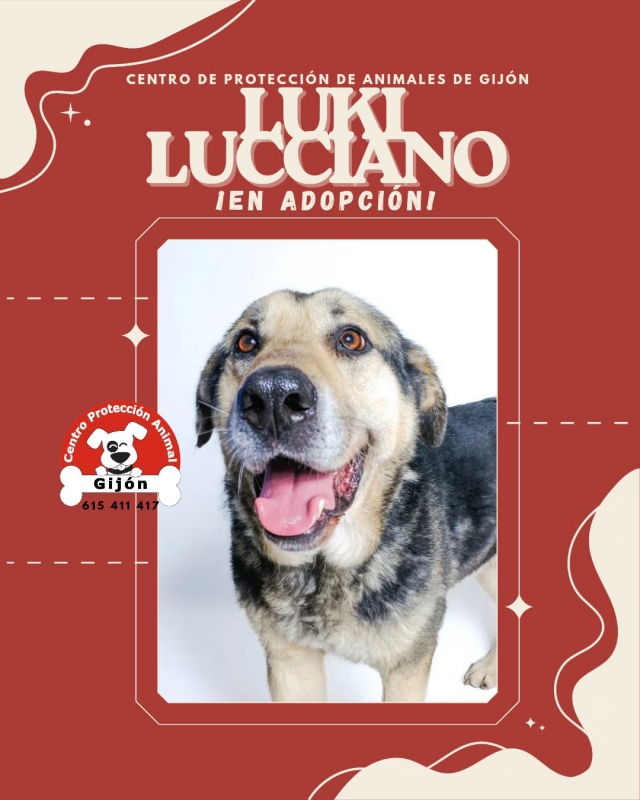Foto LUKI LUCCIANO