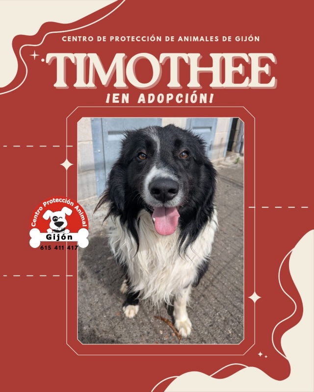 Foto TIMOTHEE