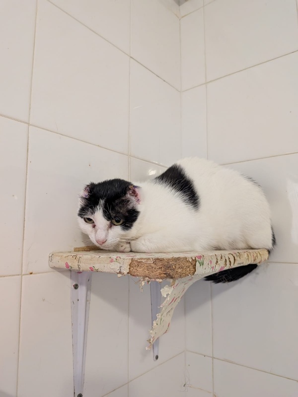 Foto ÑORA