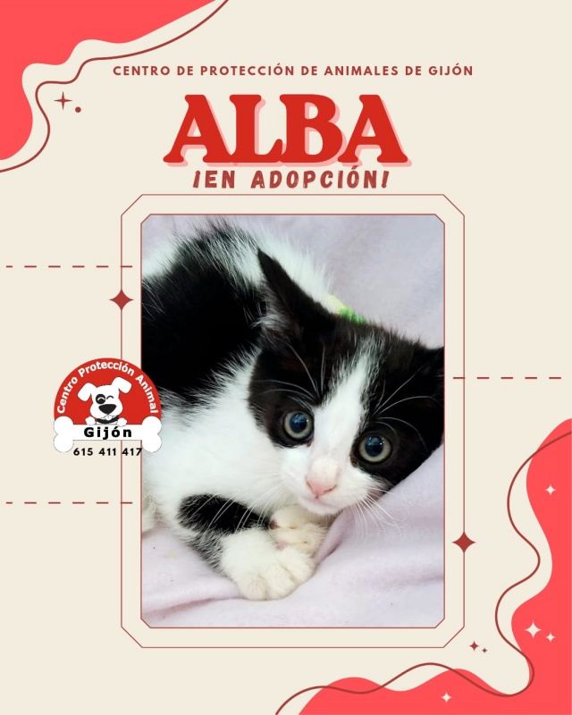 Foto ALBA