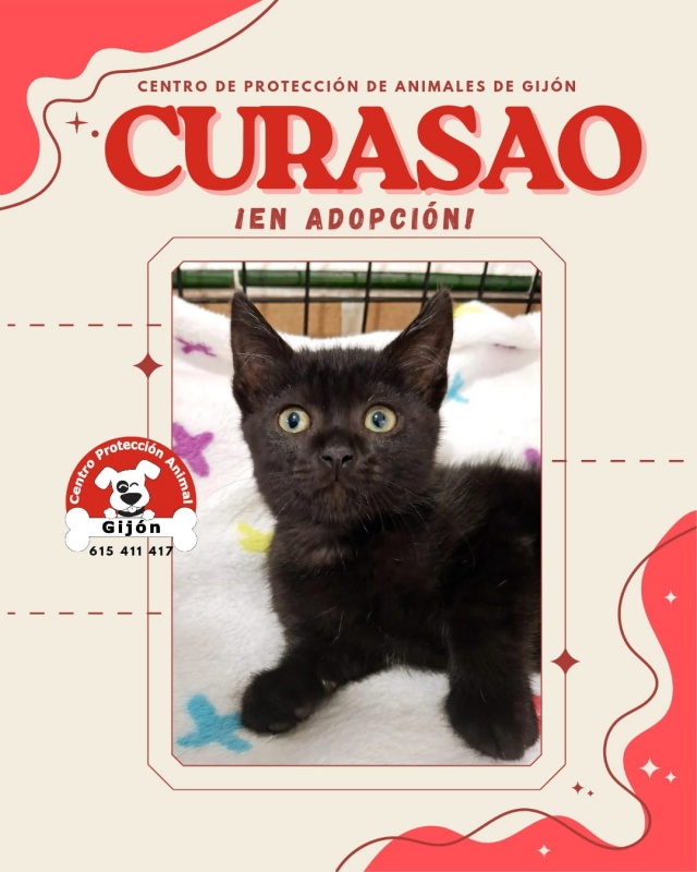 Foto CURASAO