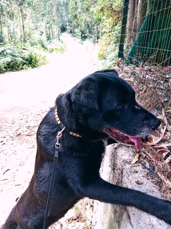 Foto MORA