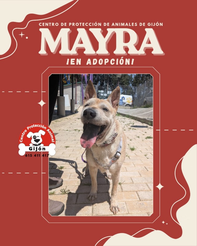 Foto MAYRA