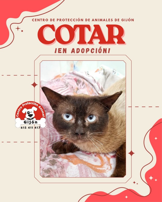 Foto COTAR
