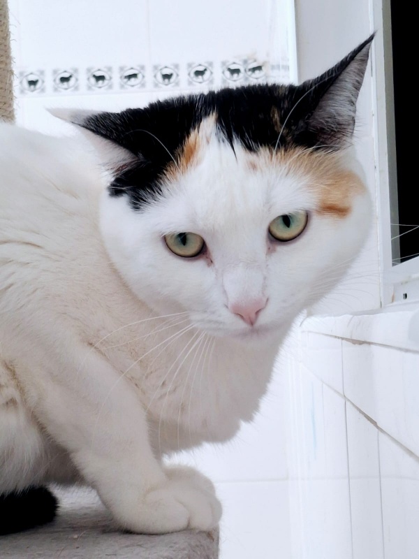 Foto LOLA