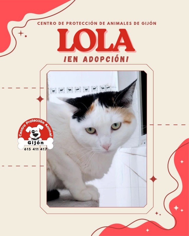 Foto LOLA