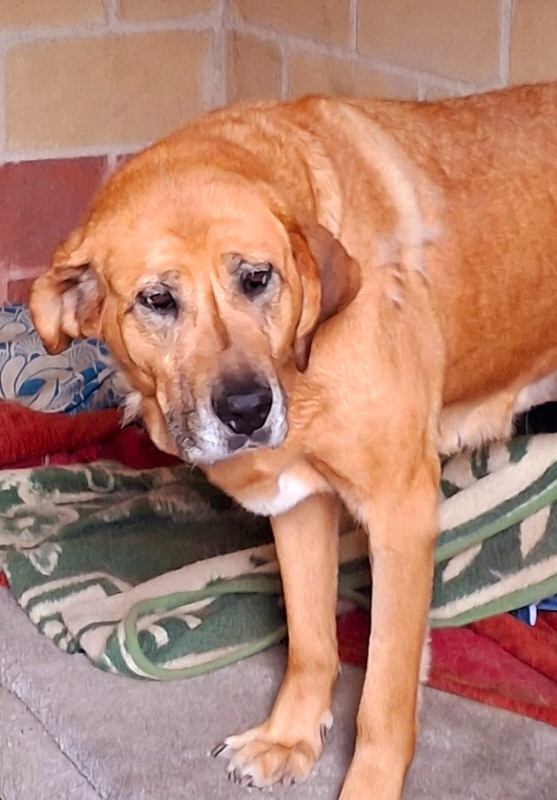 Foto MARGA