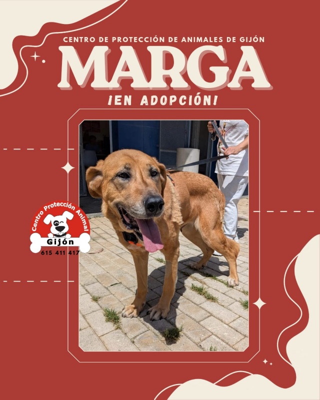 Foto MARGA