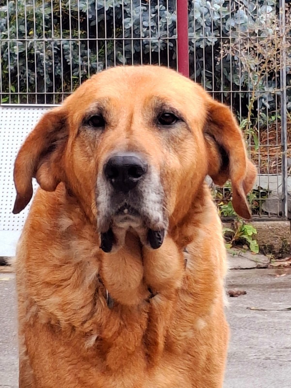 Foto MARGA