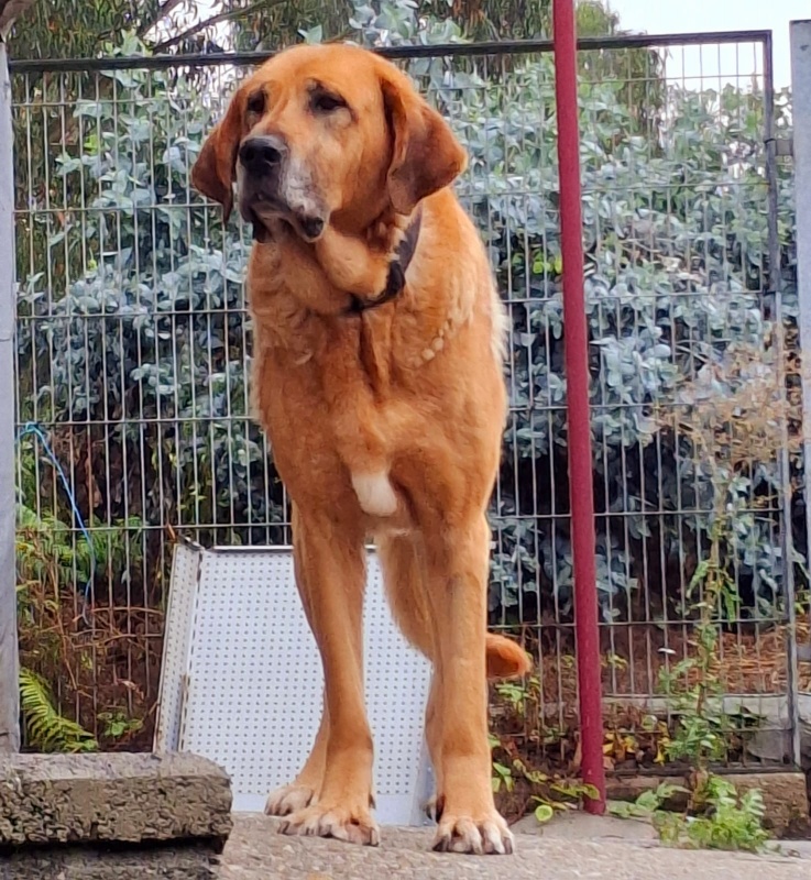 Foto MARGA