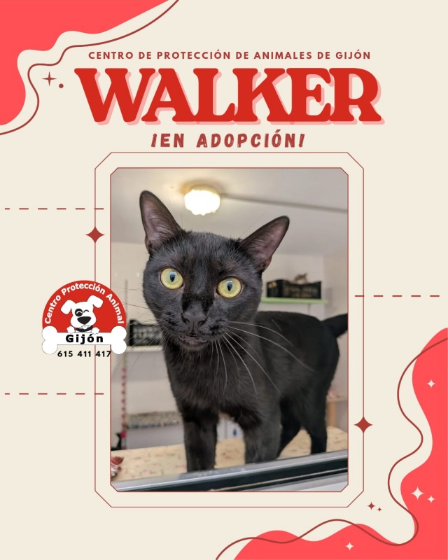 Foto WALKER