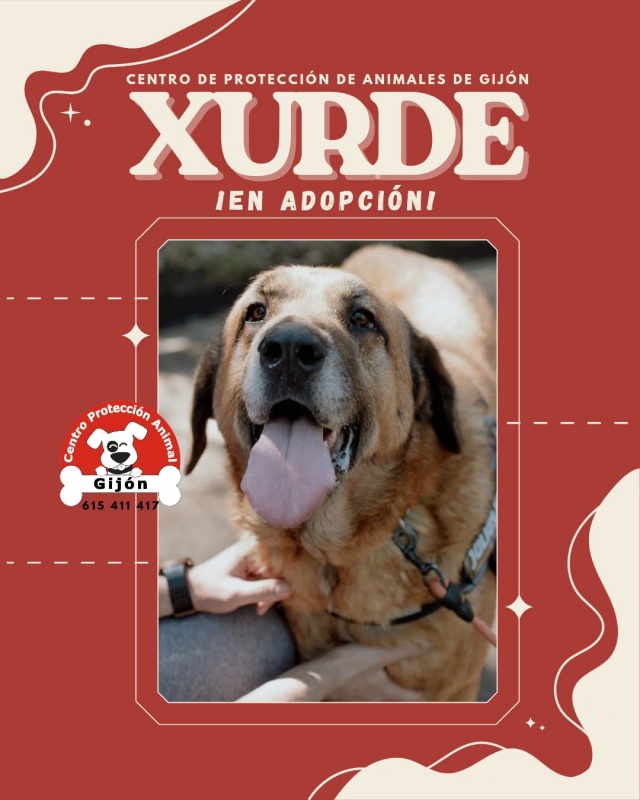 Foto XURDE