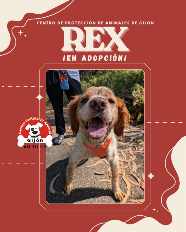 Foto REX