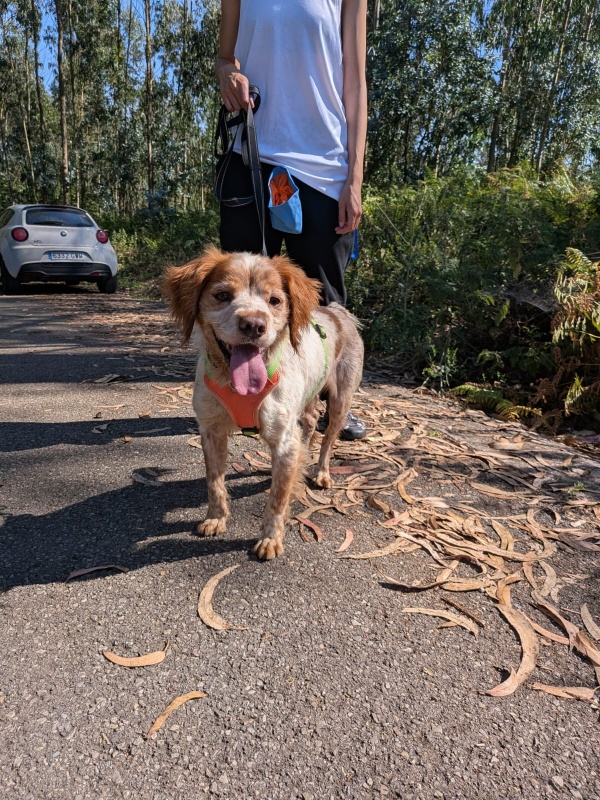 Foto REX