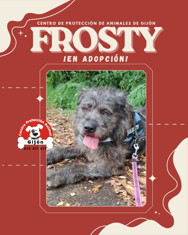 Foto FROSTY
