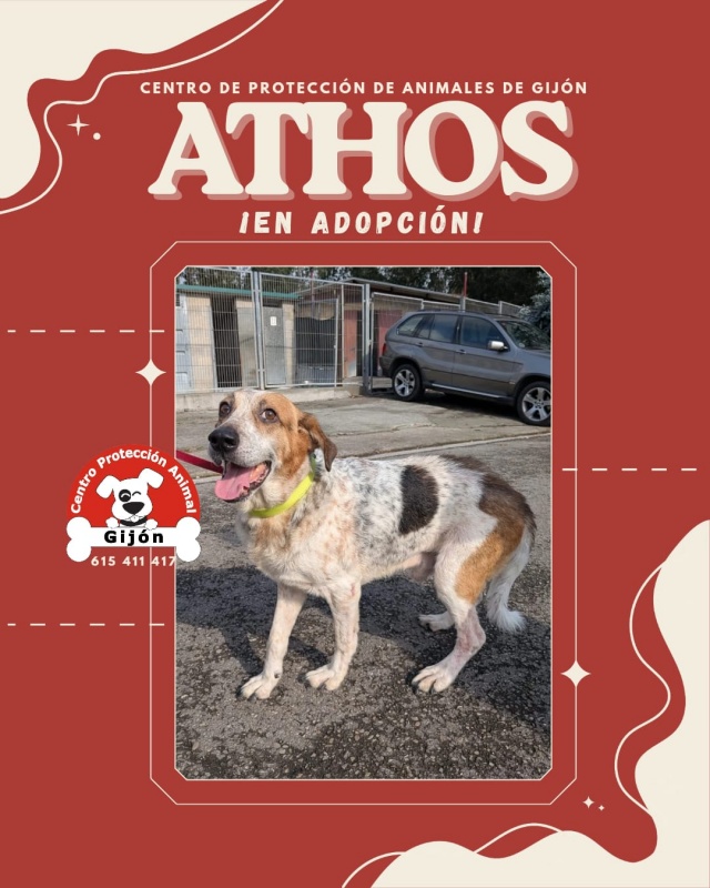 Foto ATHOS
