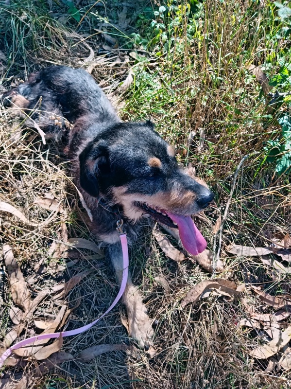 Foto CHASKA