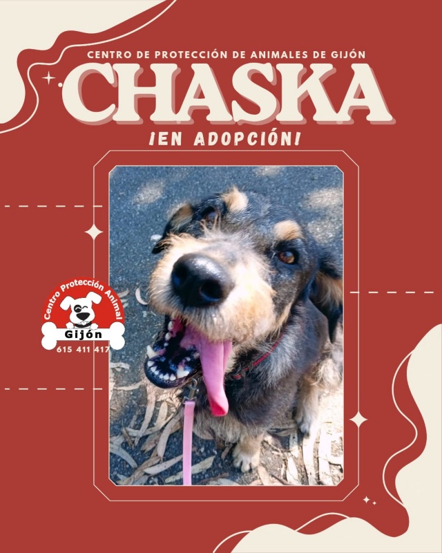 Foto CHASKA