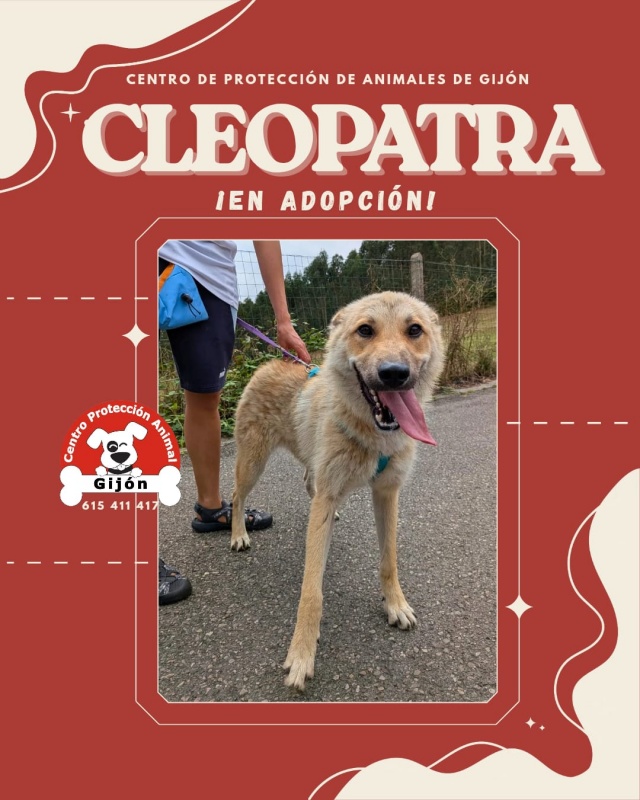 Foto CLEOPATRA