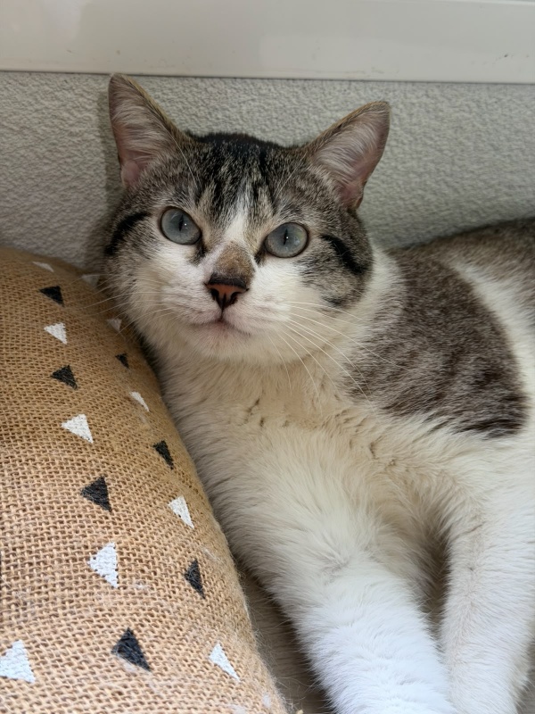 Foto LUKA