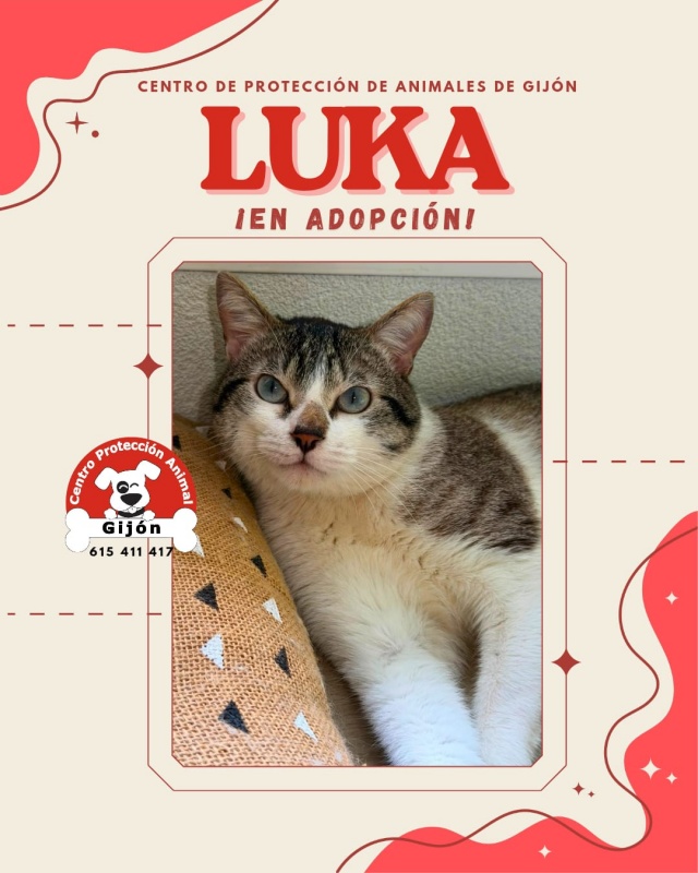 Foto LUKA