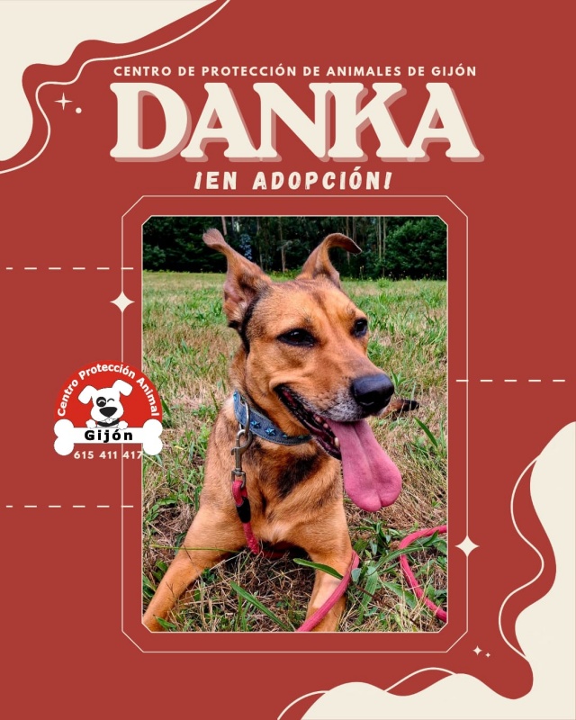 Foto DANKA