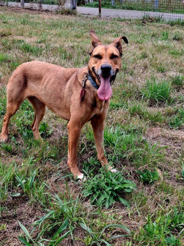 Foto DANKA