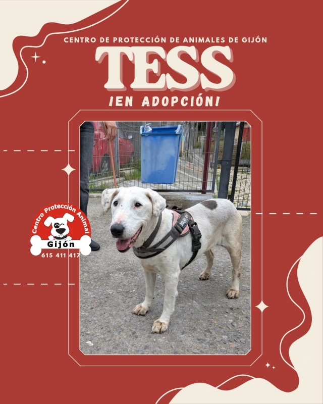 Foto TESS